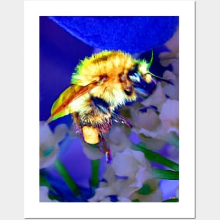 Bumble Bee Posters and Art